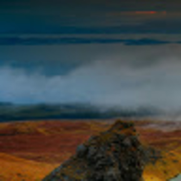 Meet your Posher, Carlos - Picture 1 of 1